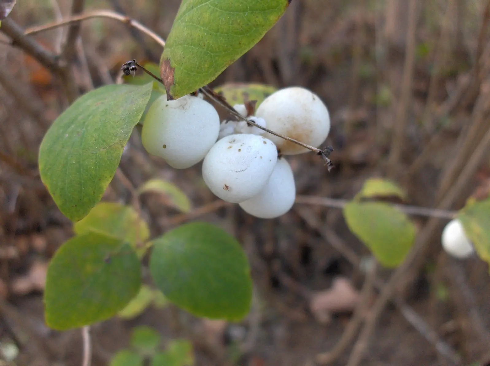 A kép forrása: Unsplash, fotós: Sergio Rota 