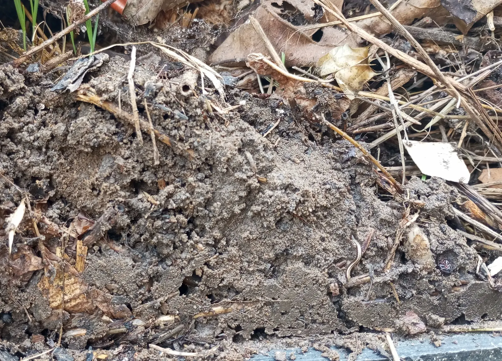 A kép forrása: Unsplash, fotós: Sergio Rota 