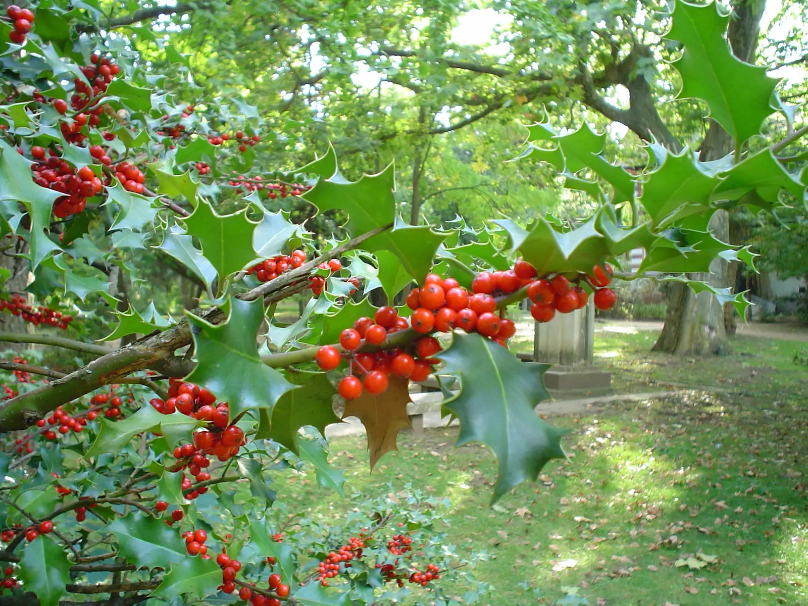 A kép forrása: Unsplash, fotós: Sergio Rota 